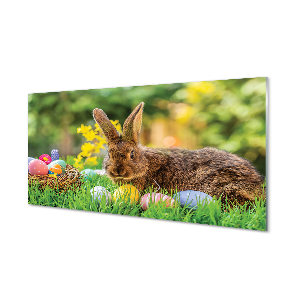 Küchenrückwand spritzschutz Wiese rabbit eier