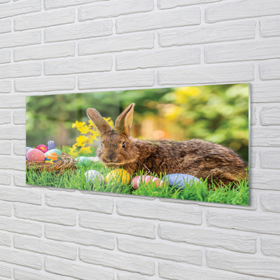 Küchenrückwand spritzschutz Wiese rabbit eier