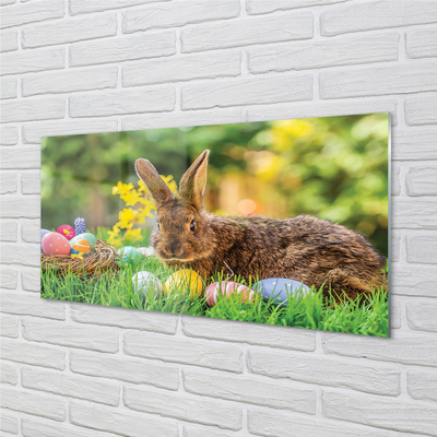 Küchenrückwand spritzschutz Wiese rabbit eier