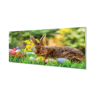 Küchenrückwand spritzschutz Wiese rabbit eier