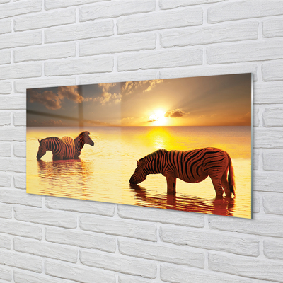 Küchenrückwand spritzschutz Sonnenuntergang wasser zebras