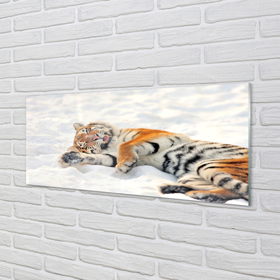 Küchenrückwand spritzschutz Tiger winter