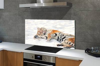 Küchenrückwand spritzschutz Tiger winter