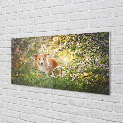 Küchenrückwand spritzschutz Hund blumen wald