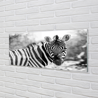 Küchenrückwand spritzschutz Zebra retro