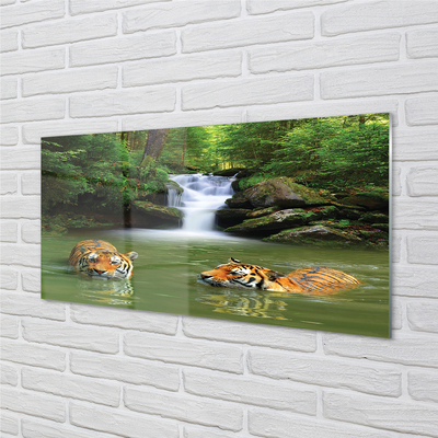 Küchenrückwand spritzschutz Wasserfall tiger