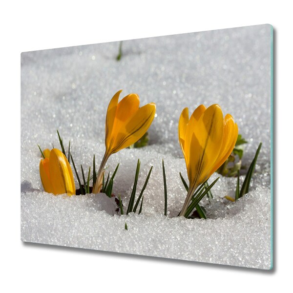 Glas Herdabdeckplatte Krokusse im Schnee