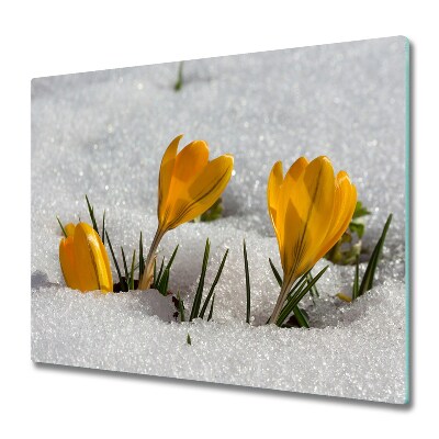 Glas Herdabdeckplatte Krokusse im Schnee