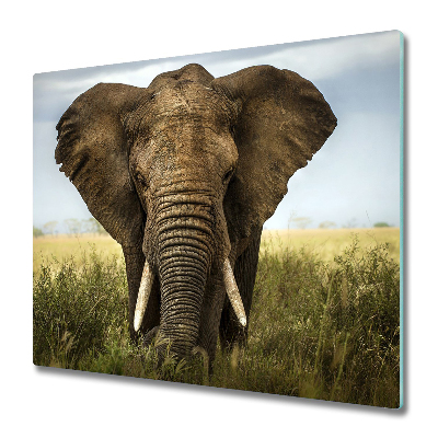 Glas Herdabdeckplatte Elefant Savanne