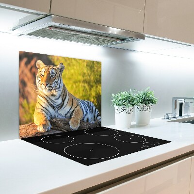 Glas Ceranfeldabdeckung Porträt eines Tigers