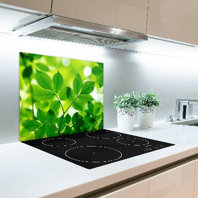 Glas Ceranfeldabdeckung Spritzschutz Grüne Blätter