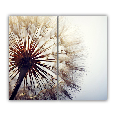 Glas Ceranfeldabdeckung Spritzschutz Pusteblume