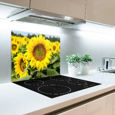 Glas Ceranfeldabdeckung Spritzschutz Sonnenblumenfeld