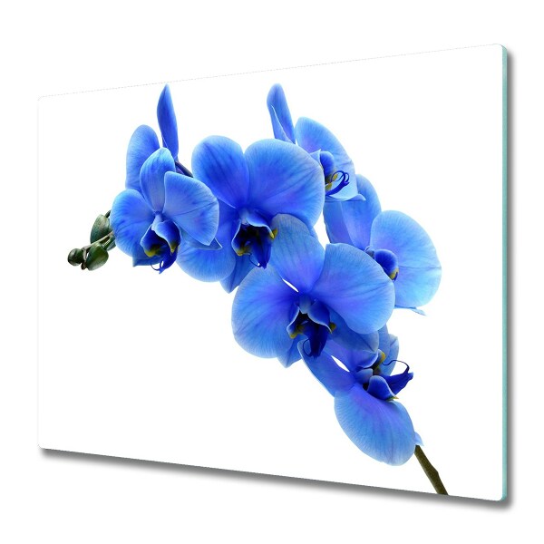 Glas Ceranfeldabdeckung Spritzschutz Blaue Orchidee