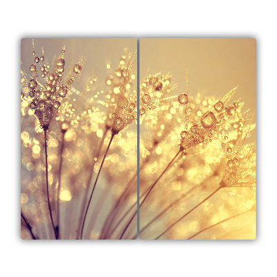 Glas Ceranfeldabdeckung Spritzschutz Pusteblume Samen