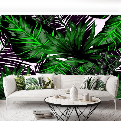 Motivtapete Monstera blätter
