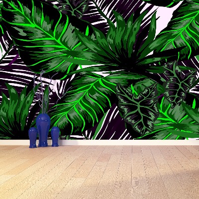 Motivtapete Monstera blätter