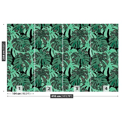 Motivtapete Monstera blätter