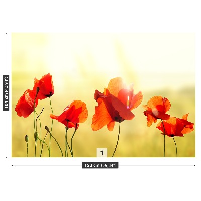 Bildtapete Mohn