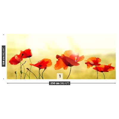 Bildtapete Mohn