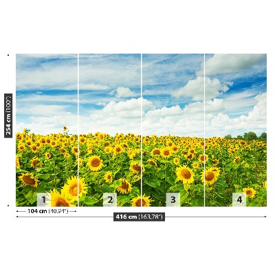 Fototapete Ein feld von sonnenblumen