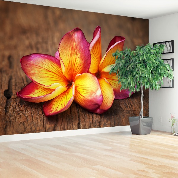 Bildtapete Plumeria holz