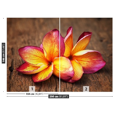 Bildtapete Plumeria holz