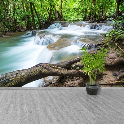 Wandtapete Wasserfall im wald