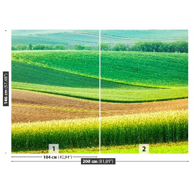 Fototapete Ländliche landschaft