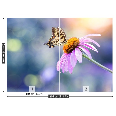 Bildtapete Echinacea schmetterling