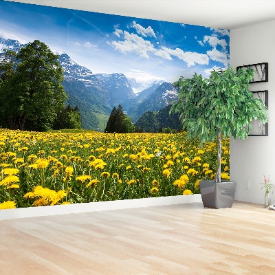 Fototapete Löwenzahn-berge