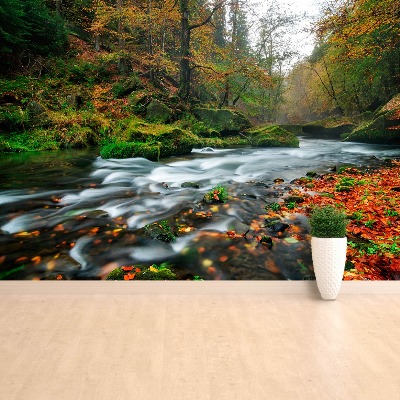 Fototapete Herbst-stream