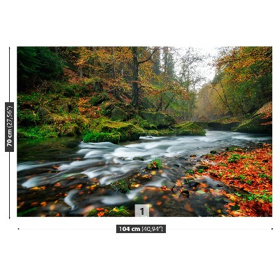 Fototapete Herbst-stream