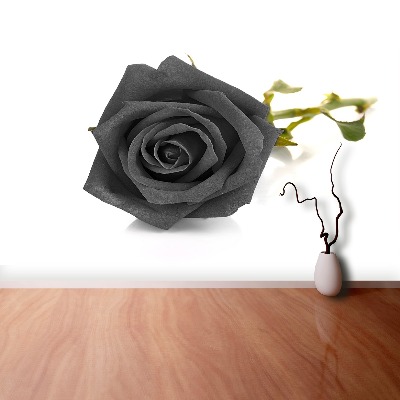 Bildtapete Schwarze rose