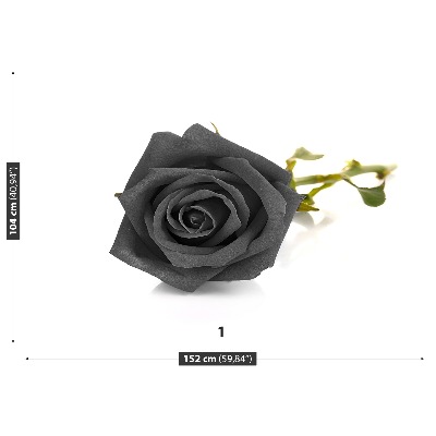 Bildtapete Schwarze rose