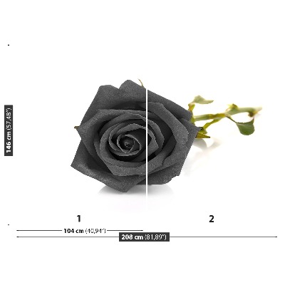 Bildtapete Schwarze rose