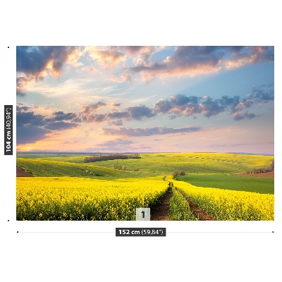 Fototapete Blühende felder