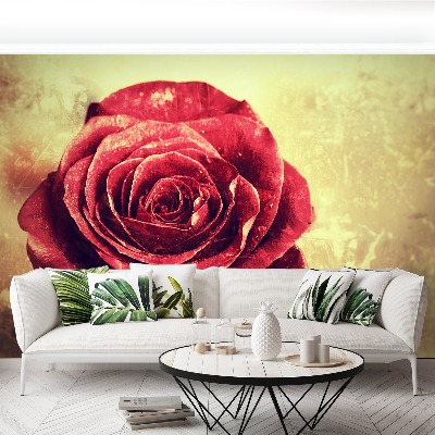 Bildtapete Rote rose