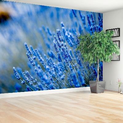 Bildtapete Lavendel-blau