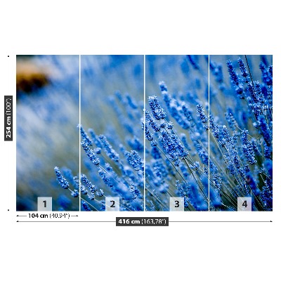 Bildtapete Lavendel-blau