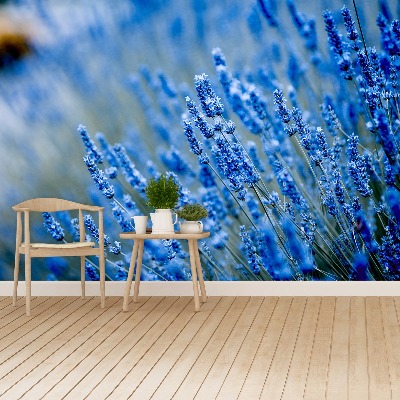Bildtapete Lavendel-blau