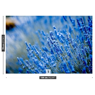 Bildtapete Lavendel-blau