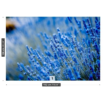 Bildtapete Lavendel-blau