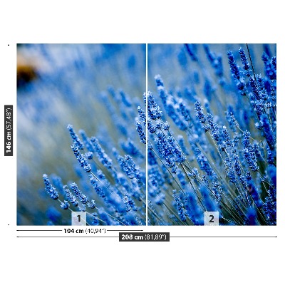 Bildtapete Lavendel-blau