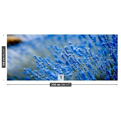 Bildtapete Lavendel-blau