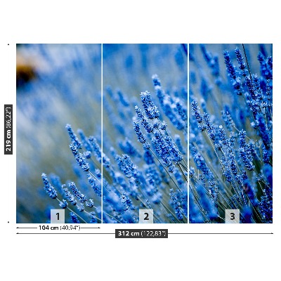 Bildtapete Lavendel-blau