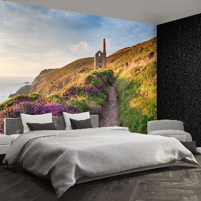 Fototapete Küste von cornwall