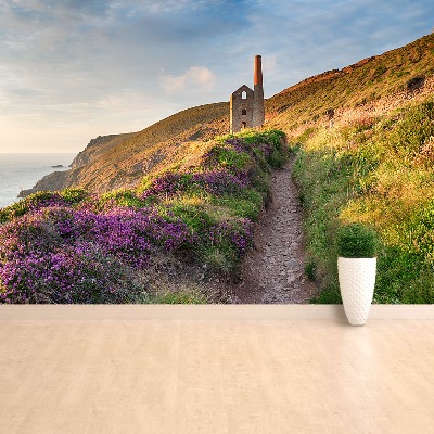 Fototapete Küste von cornwall