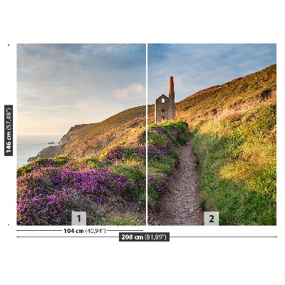 Fototapete Küste von cornwall