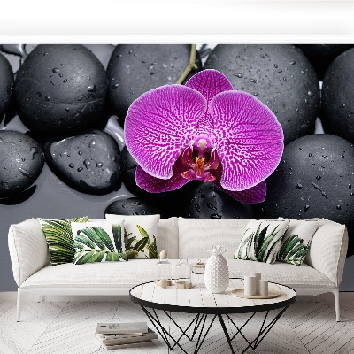 Bildtapete Orchidee steine